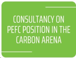 Call for proposals: Consultancy on PEFC position in the carbon arena