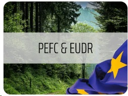 PEFC - your partner for the EUDR